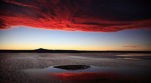 1470359855023002083.jpg 1.jpg