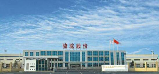 1481507544625080220.jpg 1.jpg