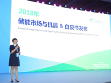 2017新增電化學(xué)儲能裝機量企業(yè)排名發(fā)布 南都電源榮登榜首