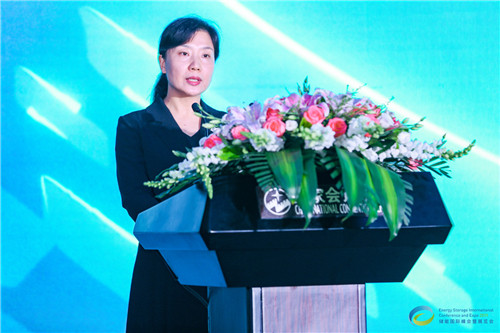 中關(guān)村管委會國際合作處處長蔣崇華：儲能技術(shù)與產(chǎn)業(yè)在中關(guān)村新時期創(chuàng)新發(fā)展中將大有可為