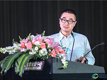 國家電投黃河水電李曉峰：新能源發電領域電化學儲能系統設計