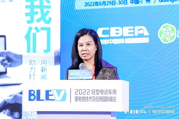 BLEV2022：促中外產業(yè)合作，共建產業(yè)生態(tài)鏈