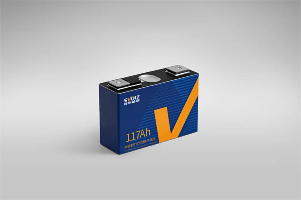 獨(dú)家｜對話楊紅新：蜂巢能源2024年如何“破卷”？