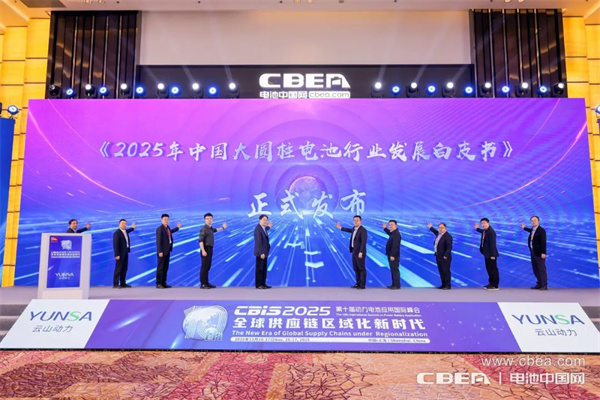 產(chǎn)業(yè)共振!大圓柱電池迎來“高光時刻” 產(chǎn)業(yè)共振!大圓柱電池迎來“高光時刻”